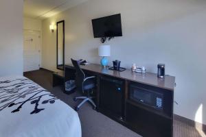 巴拿马城海滩巴拿马城海滩司丽普旅馆及套房的酒店客房配有一张床和一张书桌及一台电视