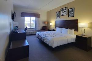 巴拿马城海滩巴拿马城海滩司丽普旅馆及套房的一间设有大床和窗户的酒店客房