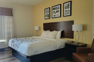 巴拿马城海滩巴拿马城海滩司丽普旅馆及套房的酒店客房带一张大床和一把椅子