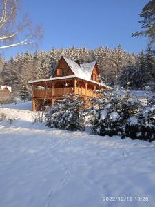 道尼库宾Chata Terasa Kubinska的雪中树下的小木屋