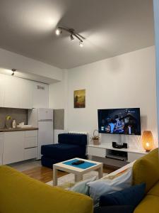 斯科普里Modern Rajcikk Apartment nearby downtown & Vardar river的带沙发和电视的客厅