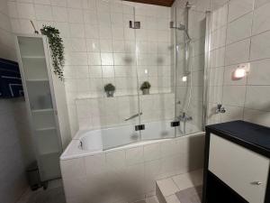 萨格勒布Maksimirhouse的浴室配有带盆栽植物的浴缸。