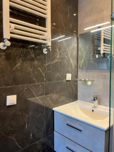 海牙Cosy Apartment in the Hague!的一间带水槽和镜子的浴室