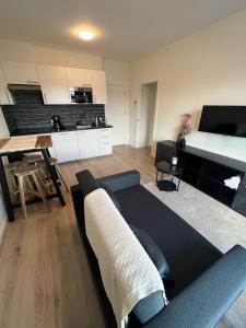 海牙Cosy Apartment in the Hague!的带沙发和桌子的客厅以及厨房。