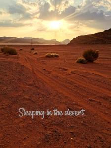 亚喀巴Bedouin experiences的沙漠中的土路,在沙漠中睡觉的话