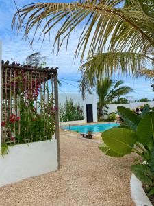 南威Cactus lodge Zanzibar的鲜花和游泳池的大门