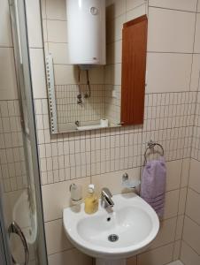 弗尔尼亚奇卡矿泉镇Apartman Radmanovac的一间带水槽和镜子的浴室