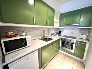 布达佩斯Nova Apartments的绿色的厨房,配有绿色的橱柜和水槽