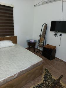 杰拉什Ruins Hotel Jerash的一间卧室配有一张床、一台电视和一把椅子