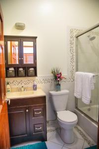 纽约The Harlem Cascades的浴室配有卫生间、盥洗盆和淋浴。