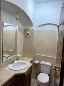 开罗Store pyrmids view的浴室配有白色卫生间和盥洗盆。