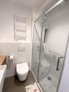 乌斯特龙Ośrodek Tulipan的一间带卫生间和玻璃淋浴间的浴室