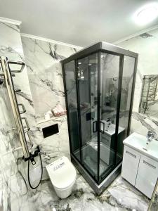 (( Turksib ))Апартаменты аэропорт 1的带淋浴、卫生间和盥洗盆的浴室
