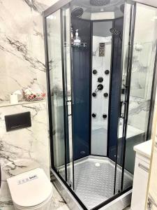 (( Turksib ))Апартаменты аэропорт 1的设有带卫生间的浴室内的淋浴间