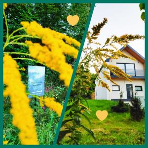 耶维克Dom nad jeziorem WIDOKówka的两幅房子前面的黄色花卉图案