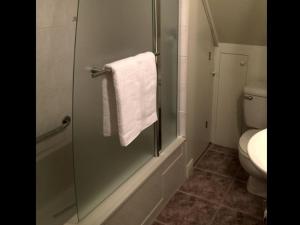 萨格奈Appartement Jacques Cartier的带淋浴、卫生间和毛巾的浴室