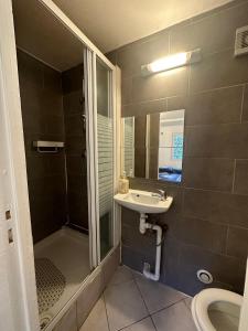 勒布朗-梅尼尔PrJARDIN的带淋浴、盥洗盆和卫生间的浴室