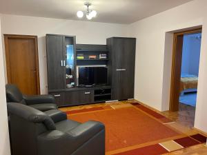 蒂米什瓦拉Amma House Timisoara的带沙发和电视的客厅