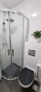 阿尔杰什河畔库尔泰亚Radu's Room的带淋浴和黑色卫生间的浴室