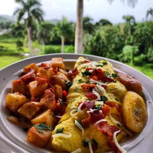 NaguaboTierra Adentro Bed and Breakfast的桌上的一块食物,上面有土豆和蔬菜