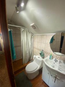 卡斯特鲁Calor y amor de hogar chilote的一间带卫生间、水槽和镜子的浴室