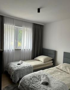 科尔别卢夫Leśne Wzgórze Apartamenty的一间卧室设有两张床和窗户。