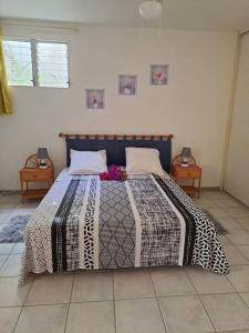 莱特鲁瓦西莱T2 cosy, spacieux et confortable的一间卧室配有一张大床和两张桌子