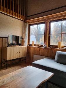 VallrunCozy mountain house in Jämtland的带沙发和2扇窗户的客厅