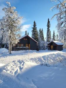 VallrunCozy mountain house in Jämtland的雪中小屋,有雪覆盖的树木