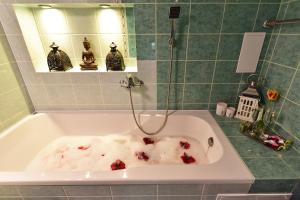 德鲁斯基宁凯Holiday Apartments with loggia in Druskininkai的浴室里装满血的浴缸