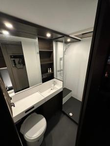 罗瓦涅米Santa`s luxury trailer的一间带卫生间、水槽和镜子的浴室