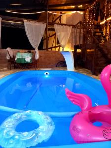 坎波斯杜若尔当Suites Cabanas e chalés 4 km do baden baden的中间的蓝色浴缸,配有粉红色火烈鸟
