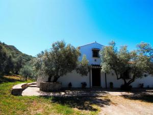 拉霍亚Belvilla by OYO Cortijo Los Olivos的一座白色的房子,前面有橄榄树
