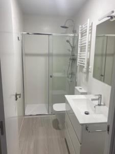 马德里Moncloa apartment, con parking的带淋浴、卫生间和盥洗盆的浴室