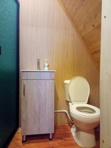 阿基塔尼亚Cabañas el Olimpo的一间带卫生间和水槽的浴室