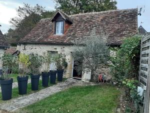 维朗德里Gîte des châteaux de la Loire的一座古老的小屋,前面有盆栽植物