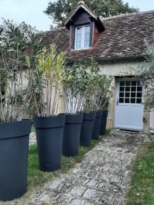 维朗德里Gîte des châteaux de la Loire的一排盆栽植物在房子前面