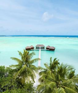 曼度马尔代夫伦格里岛康莱德酒店的棕榈树水中的一个度假村