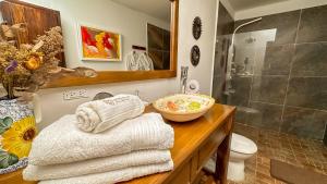 巴耶杜帕尔卡萨桑托斯巴耶杜帕尔精品酒店的浴室配有盥洗盆、淋浴和毛巾