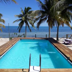 Seine Bight VillageCoco's Beachfront Cabanas的棕榈树海滩上的游泳池