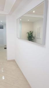 梅利利亚Bonito apartamento en Barrio Calvo Sotelo的白色的房间,配有镜子和植物