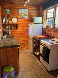 GranityClassic Kiwi bach的厨房配有白色冰箱和炉灶。