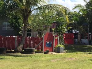 阿雷西博Toda la casa: 3 dormitorios, 4 baños y 1 futón.的棕榈树屋前的红色围栏