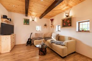 MirnaVineyard Cottage Grajska Kašča - Happy Rentals的带沙发和电视的客厅