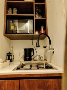 加尔各答The Turquoise Letterbox - Twin at Central的厨房柜台设有水槽和微波炉
