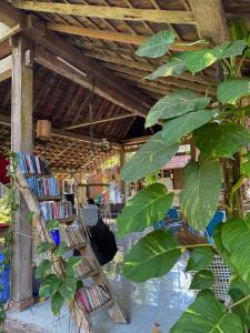 外南梦迪度的住宿加早餐民宿假日公园的一间有一堆书和一棵树的房间