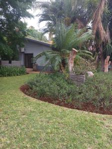 穆西纳Africa Dawn Guesthouse的棕榈树和房子的院子