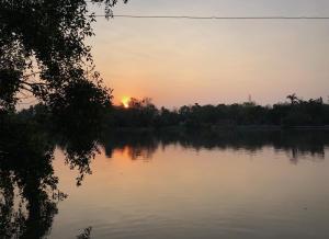 Ban Khlong Sai Yokี เรือนปณาลี รีสอร์ท的日落在水面上