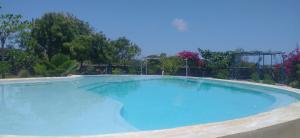 马特姆维Matemwe Ocean View Villas的蓝色海水大型游泳池
