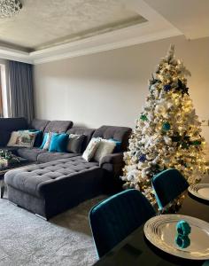 多纳瓦利Apartmány Residence的客厅配有圣诞树和沙发